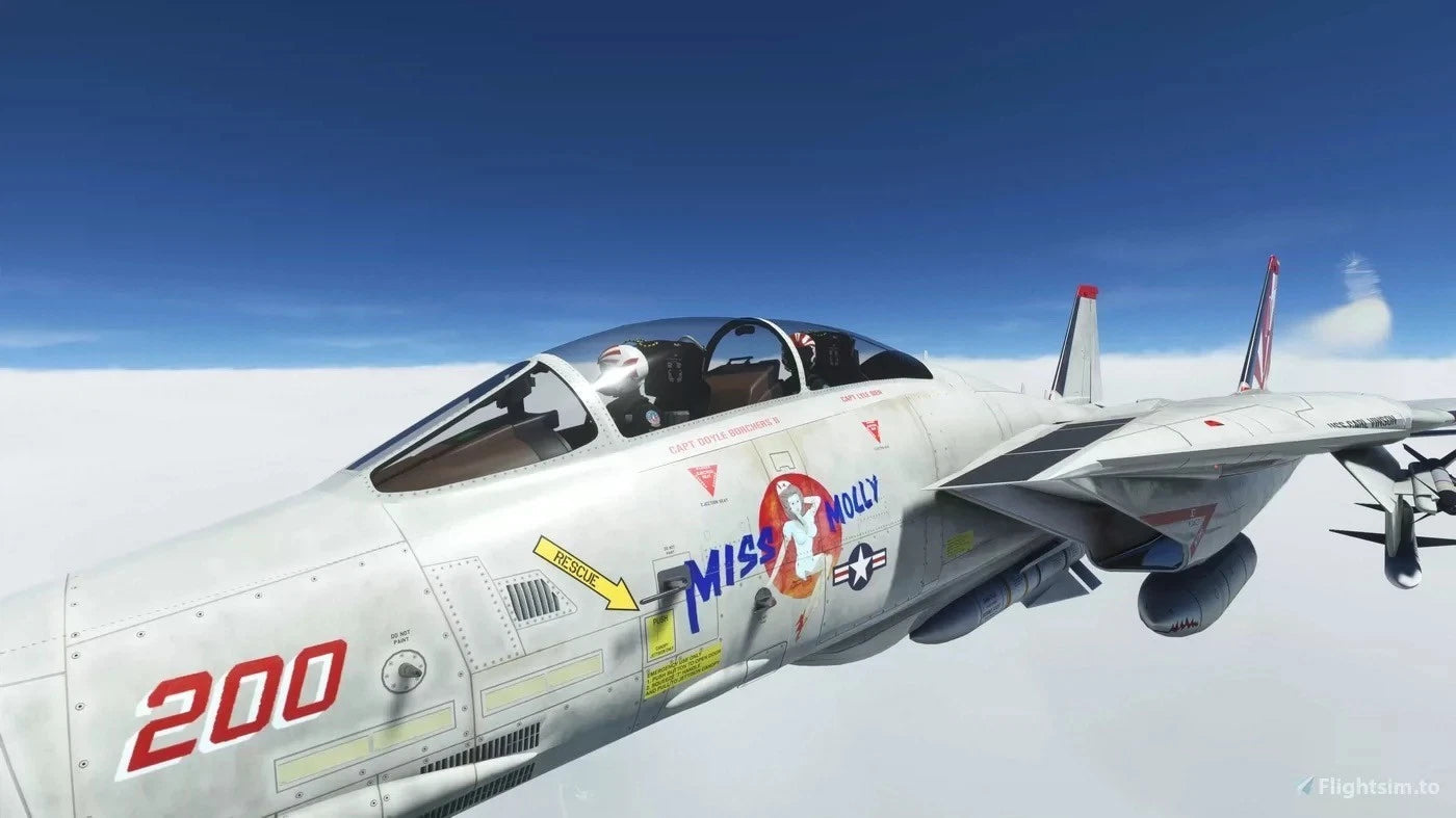1/72 F-14A Tomcat VF-111 Miss Molly Alloy Plastic Model Kit DIY Assembly Display 07FC0E-D4 - KOEEK