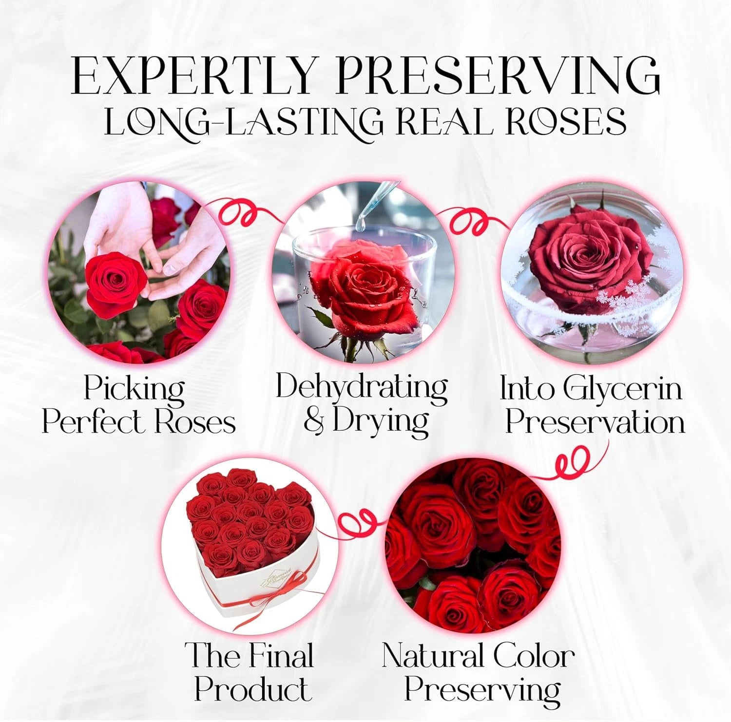 Boxed Preserved Roses - A Gift for Her, Your Wife, or Mother Red - 16 Pieces 07FC0E-D4 - KOEEK