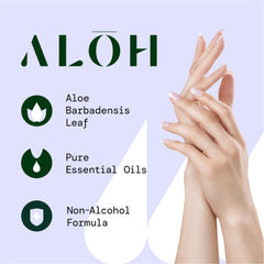 new ALŌH Sweet Orange Bergamot 3 pack 20ct Wipes (60 wipes) 07FC0E-D4 - KOEEK