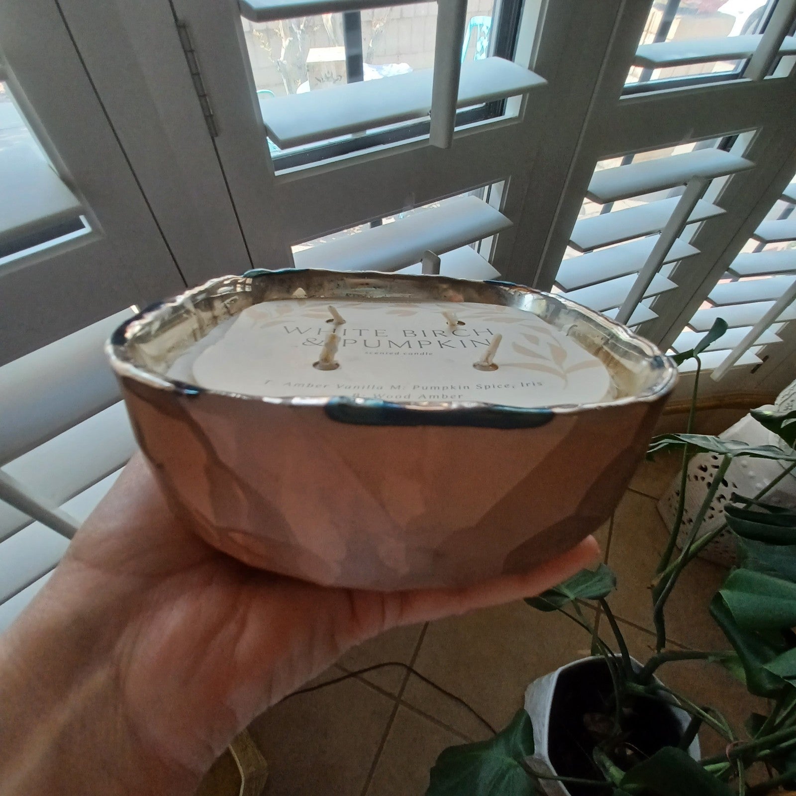 ANTHROPOLOGIE PEBBLE WHITE BIRCH & PUMPKIN GLASS CANDLE HUGE VERY LGE FENG SHUI ANTHROPOLOGIE - KOEEK