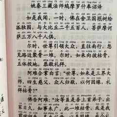 Simplified Large Print with Pinyin Recitation Buddhist Sutra Textbook 07FC0E-D4 - KOEEK