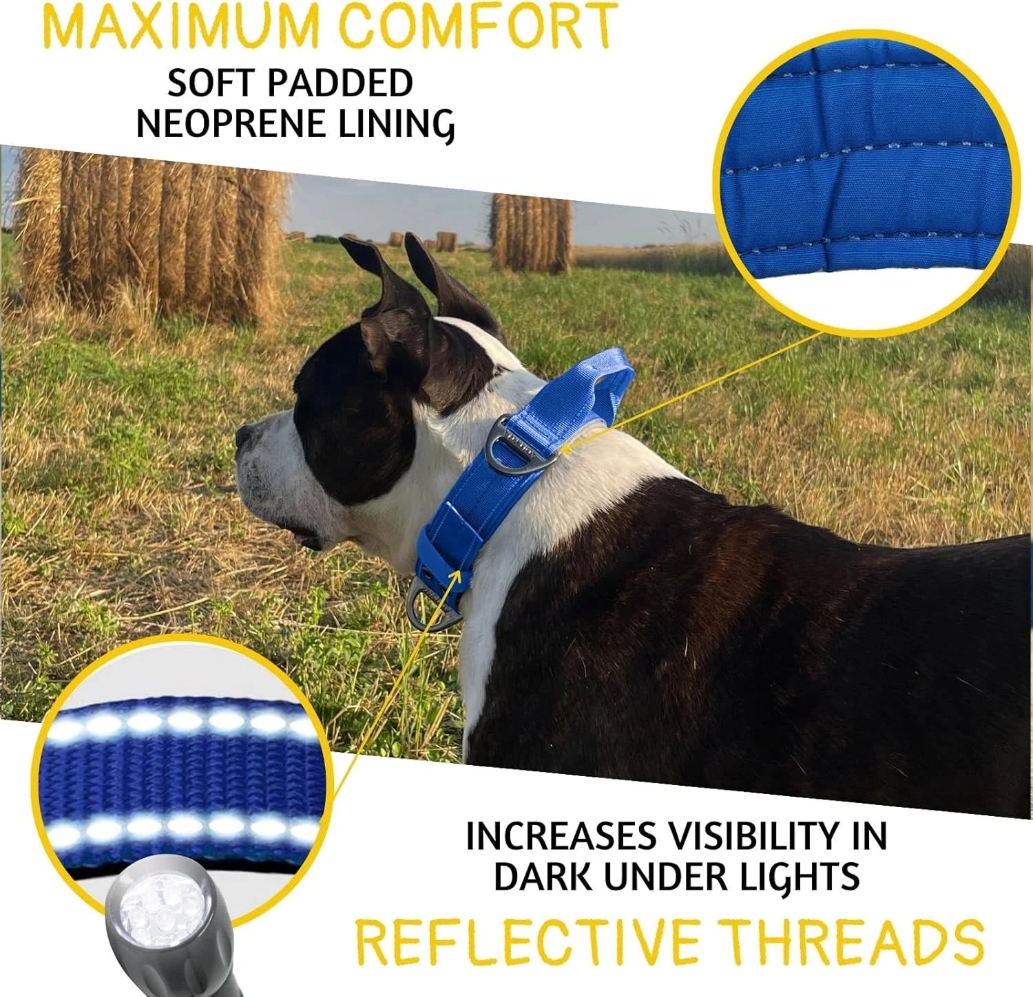 Heavy Duty Dog Collar for Large Dogs - Reflective Royal Blue 07FC0E-D4 - KOEEK