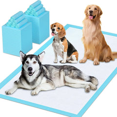 40PCS Extra Large Puppy Pads for Dogs, Thickened Disposable  Pee  Pads for Cats 07FC0E-D4 - KOEEK