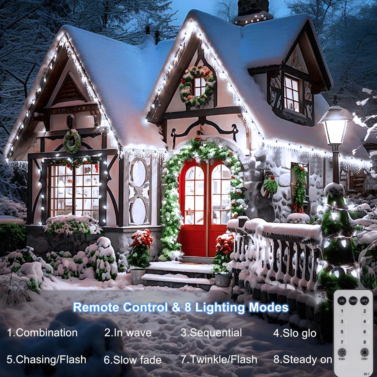 C9 Christmas String Lights 66ft 100 LED Strawberry Lights UL Plug C9 String L... 07FC0E-D4 - KOEEK