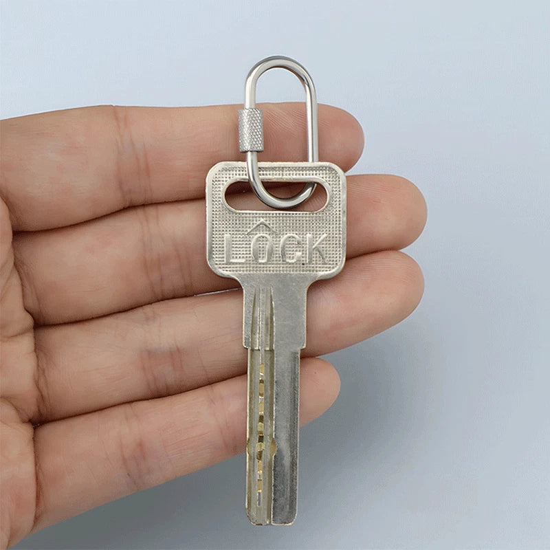 2pcs Mini Climbing Stainless Steel Screw Carabiner Lock Clasp Keychain Clip Hook 07FC0E-D4 - KOEEK