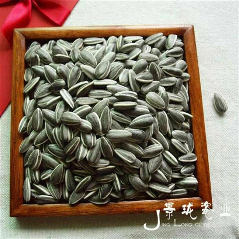US STOCK 100pcs Art Ai Weiwei Porcelain Sunflower Seeds Decoration Collection 07FC0E-D4 - KOEEK