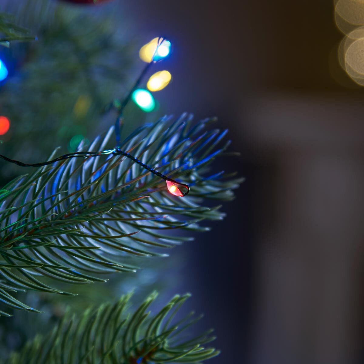 Noma Christmas LED Firefly Wire Plug In Micro Fairy String Outdoor Timer Lights NOMA - KOEEK