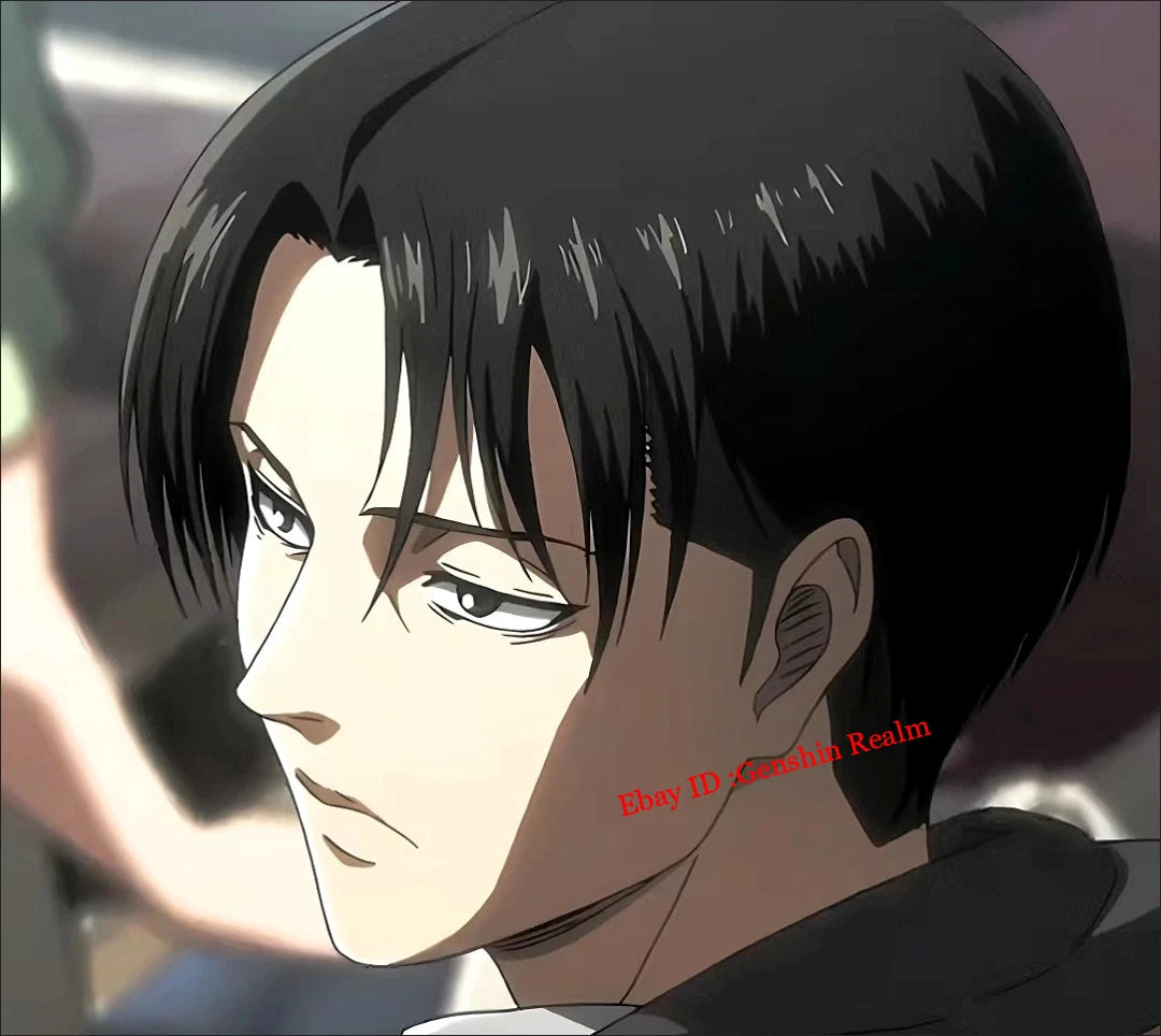 Anime Attack On Titan Levi Birthday Gift Desktop Stand Collection (With Badge) 07FC0E-D4 - KOEEK