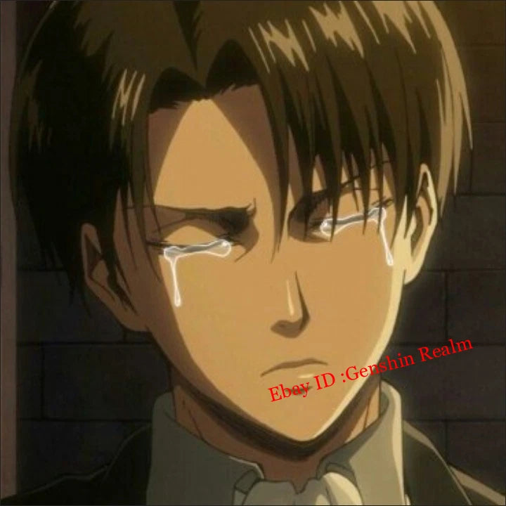 Anime Attack On Titan Levi Final Showdown Desktop Stand Figure Collection Decor 07FC0E-D4 - KOEEK