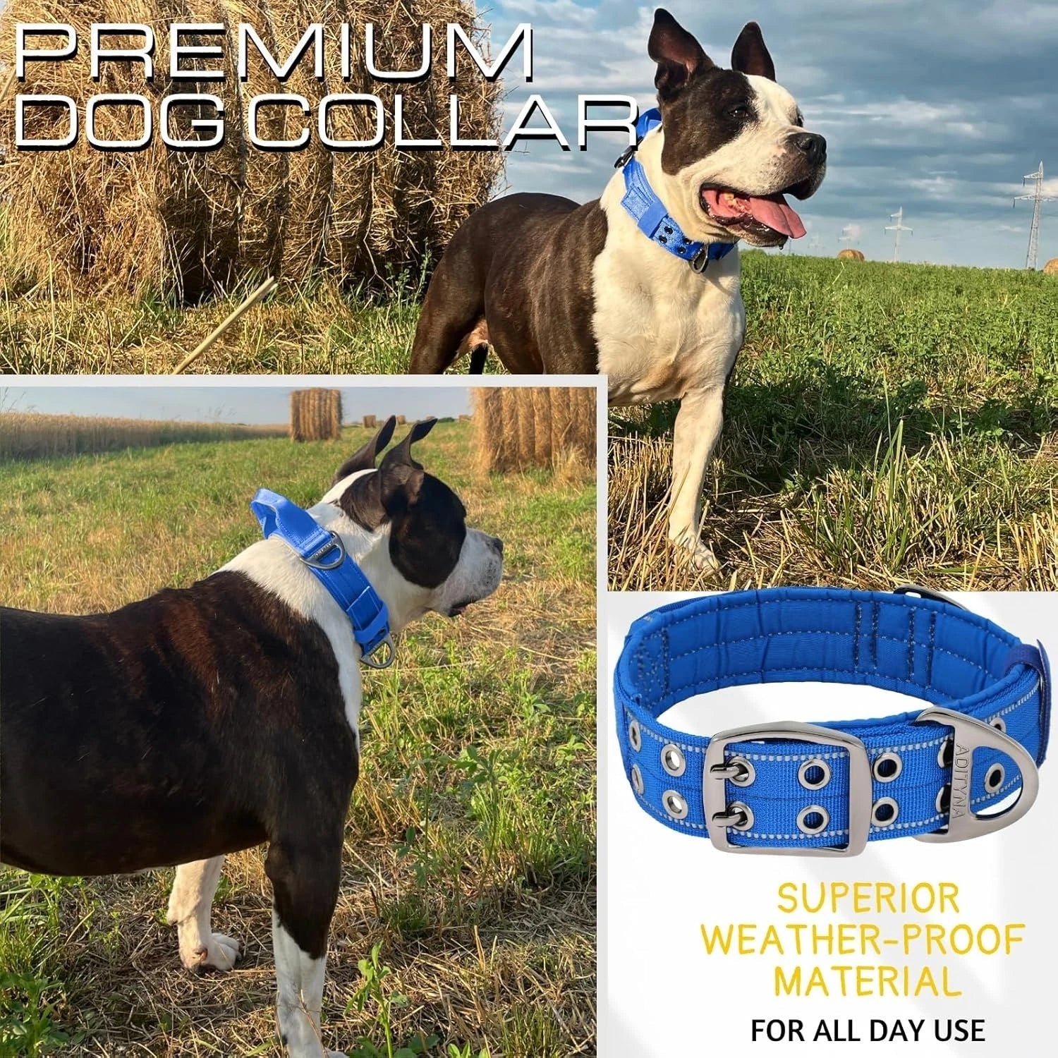 Heavy Duty Dog Collar for Large Dogs - Reflective Royal Blue 07FC0E-D4 - KOEEK