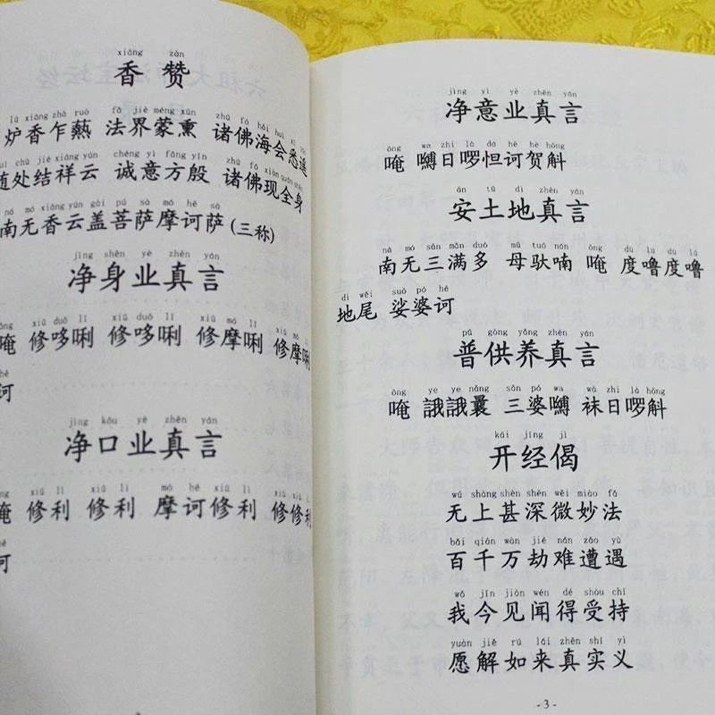 Sixth Patriarch Platform Sutra Large Print Pinyin Simplified Buddhist Textbook 07FC0E-D4 - KOEEK