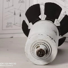 9cm 9N235 3D Printed Antique Look Shell Decor Ornament for Hobby Collectors 07FC0E-D4 - KOEEK