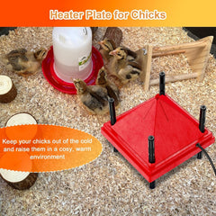 new Brooder Plate for Chicks, 10" x Chick 10.0"L x 10.0"W x 8.8"H, Red 07FC0E-D4 - KOEEK