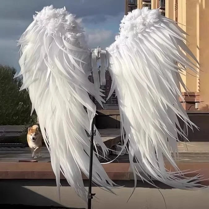 ACGN Exhibition Cosplay Angel Wings Halloween Prop White/Black Feathered Limb 07FC0E-D4 - KOEEK