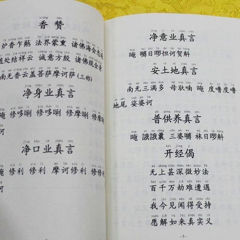 Sixth Patriarch Platform Sutra Large Print Pinyin Simplified Buddhist Textbook 07FC0E-D4 - KOEEK