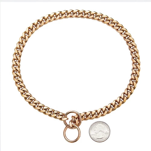 4 Colors 10mm Pet P Choke Chain Training Dog Collar Stainless Steel Dog Supplies 07FC0E-D4 - KOEEK