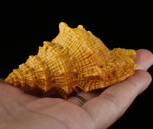8 X 5 X 4.5 CM Carved Boxwood Carving Figurine Netsuke - Conch 07FC0E-D4 - KOEEK