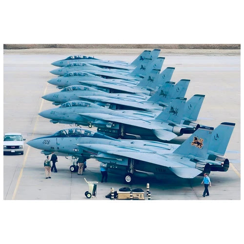 1/144 US Navy F-14D Tomcat Fighter VF-213 Black Lions Markings Water Slide Decal 07FC0E-D4 - KOEEK