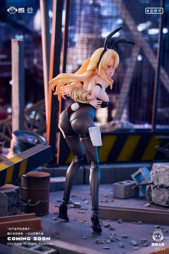 IN Stock Sushing Bunny Rapid Action Squad Guardian ERENA 1/12 Action Figure 07FC0E-D4 - KOEEK
