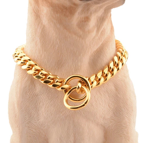 4 Colors 10mm Pet P Choke Chain Training Dog Collar Stainless Steel Dog Supplies 07FC0E-D4 - KOEEK