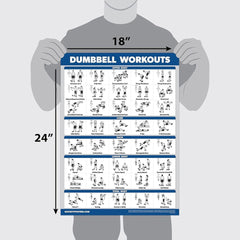 new 2 Pack: Dumbbell Workout Poster + Cable 18" x 24", LAMINATED 07FC0E-D4 - KOEEK