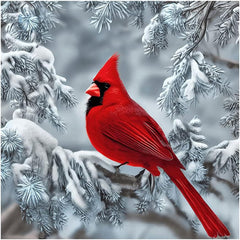 new Stalente Diamond Painting Kits for Adults, Cardinal 5D DIY White, Red STALENTE - KOEEK