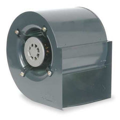 ny Dayton 1Xjy1 Blower,Samlet,115 Volt,4 Speed