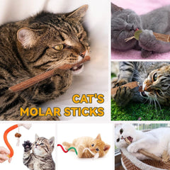 new Cat Toys Chew Toys, Silvervine Sticks Catnip Rope for Cats 21 Pack 07FC0E-D4 - KOEEK