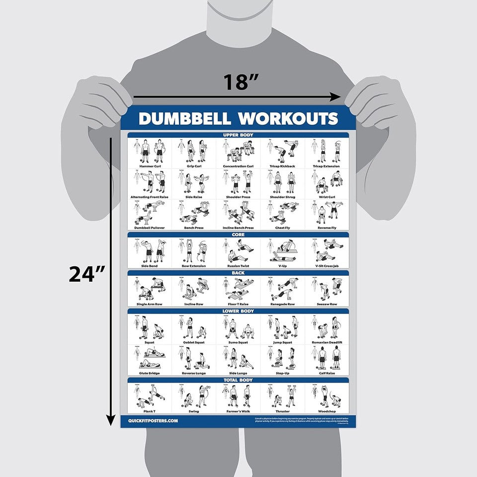 new 2 Pack: Dumbbell Workout Poster + Cable 18" x 24", LAMINATED 07FC0E-D4 - KOEEK