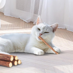 new Cat Toys Chew Toys, Silvervine Sticks Catnip Rope for Cats 21 Pack 07FC0E-D4 - KOEEK