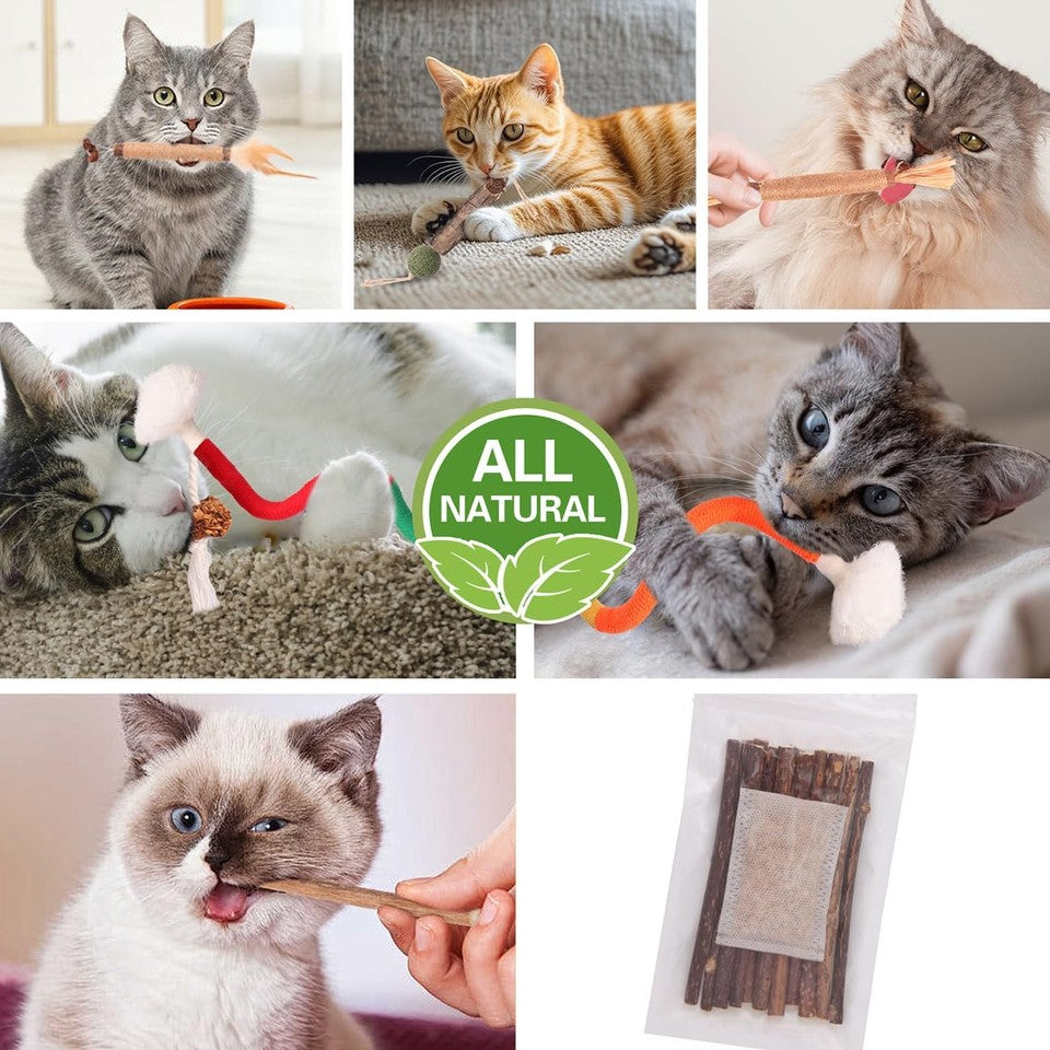 new Cat Toys Chew Toys, Silvervine Sticks Catnip Rope for Cats 21 Pack 07FC0E-D4 - KOEEK
