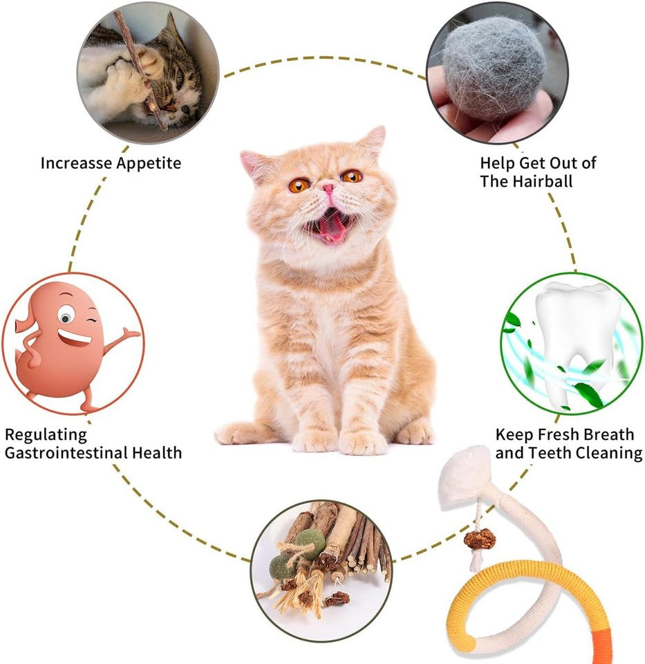 new Cat Toys Chew Toys, Silvervine Sticks Catnip Rope for Cats 21 Pack
